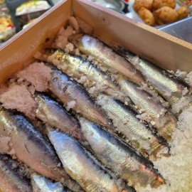SARDINAS COSTA