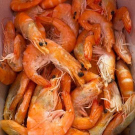 LANGOSTINOS