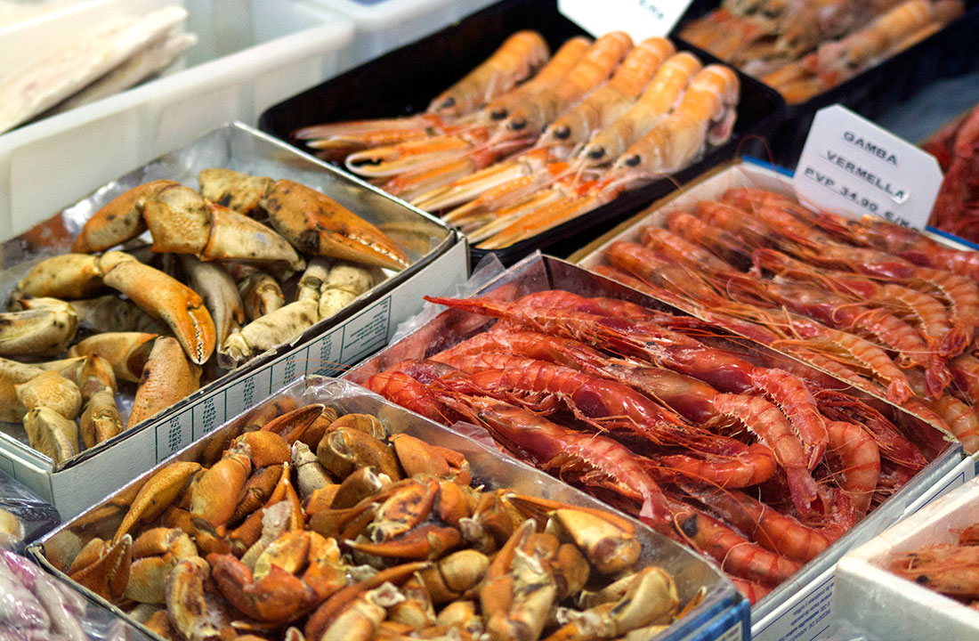 Imagen 3 de Congelats Canigó